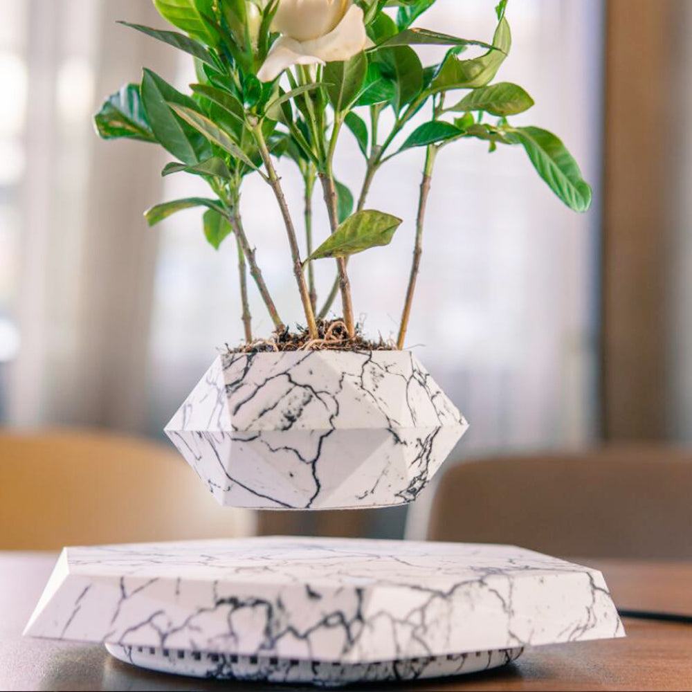 Levitating flower pot - full package contents
