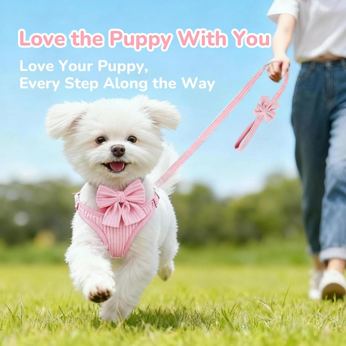 Adjustable straps on dog harness close-up