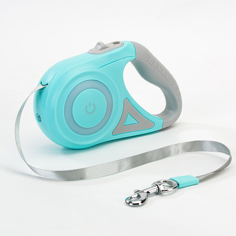 Dog leash with matching collar set