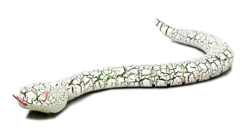 Remote control snake toy - remote controller