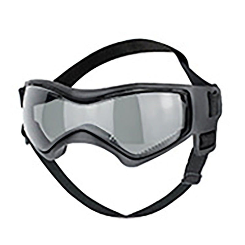 Dog goggles worn by dog outdoors