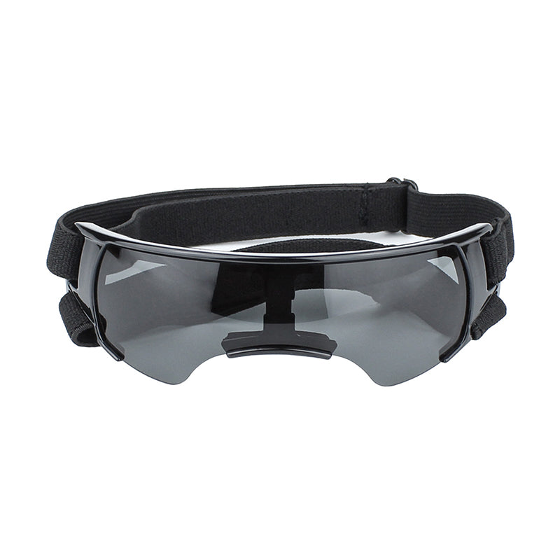 Dog goggles in blue