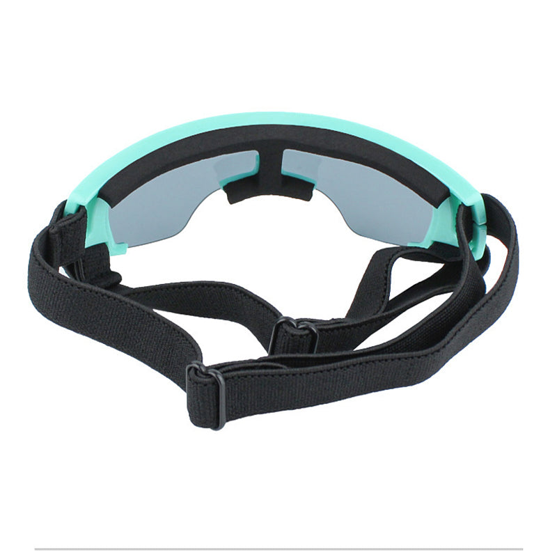 Dog goggles, lens detail close-up