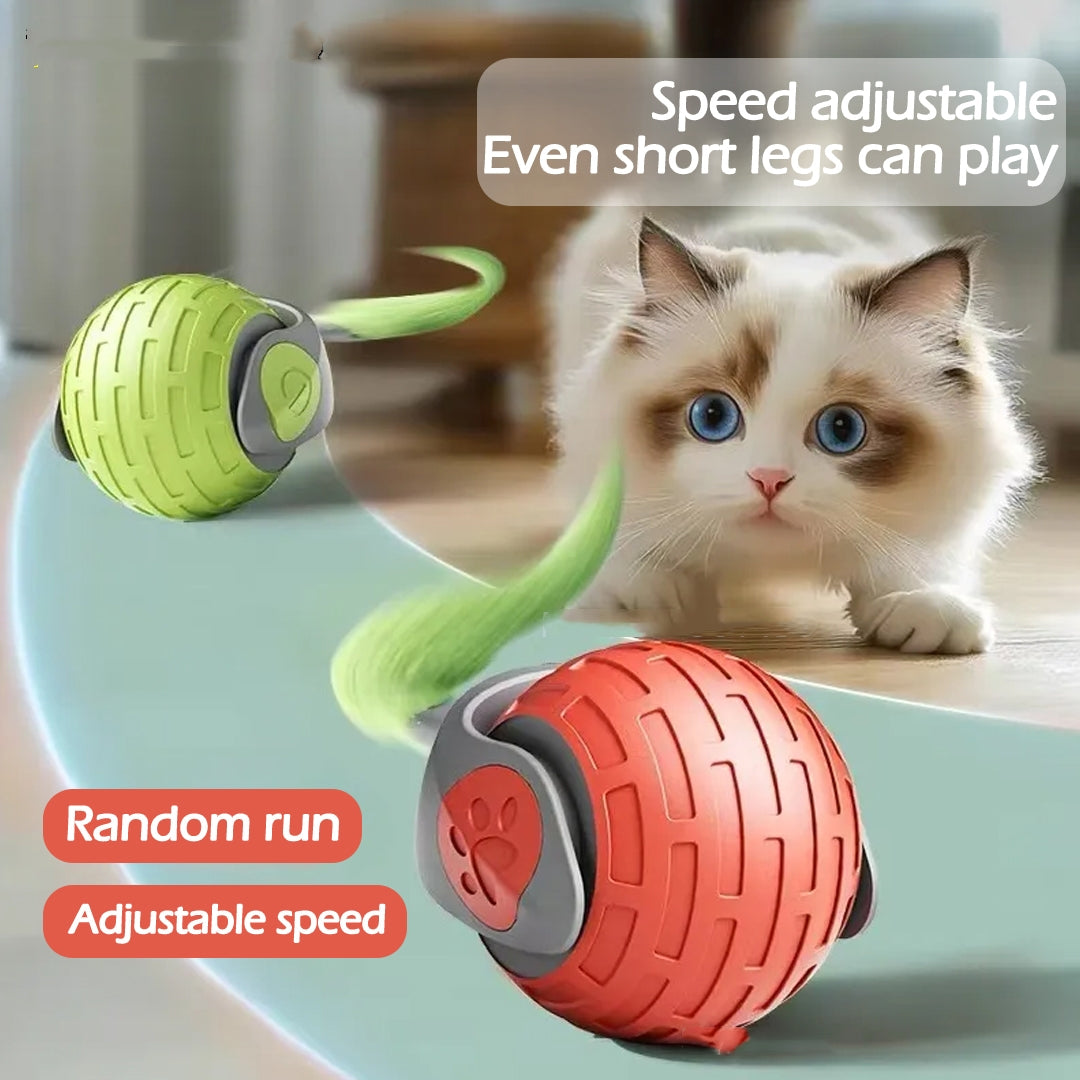 Interactive Cat Toy Ball – Automatic Rolling USB Rechargeable Teaser – photo 1 of 10