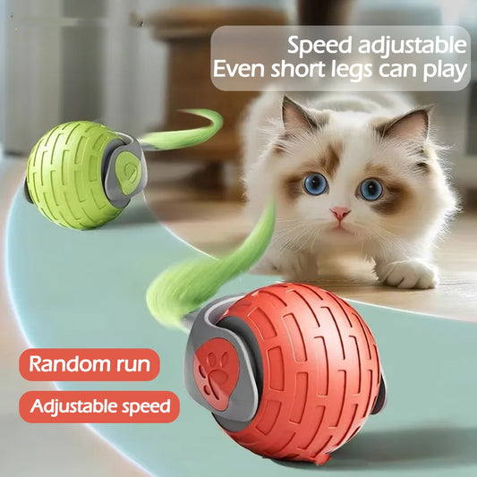 Interactive Cat Toy Ball – Automatic Rolling USB Rechargeable Teaser – photo 1 of 10