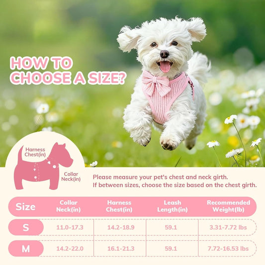 Small dog wearing pink harness and bowtie collar