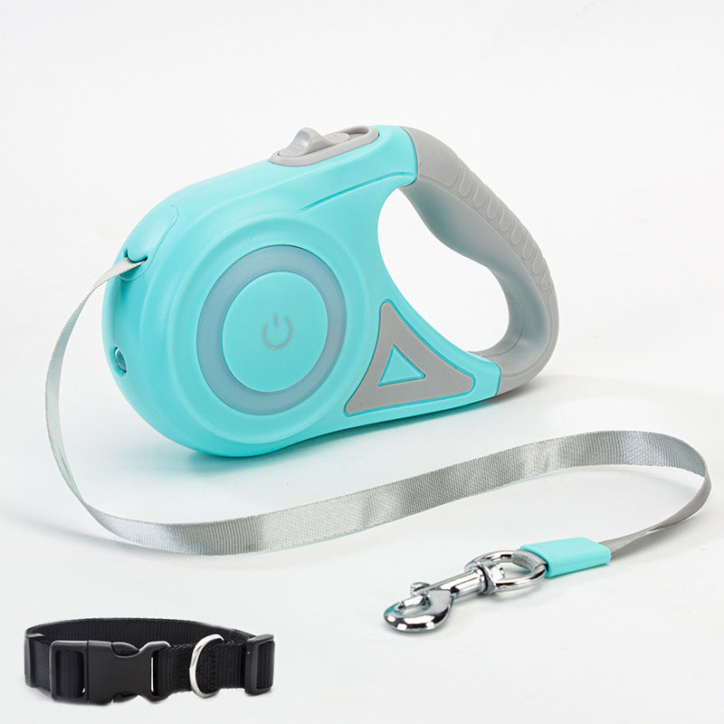 Dog leash collar clasp detail