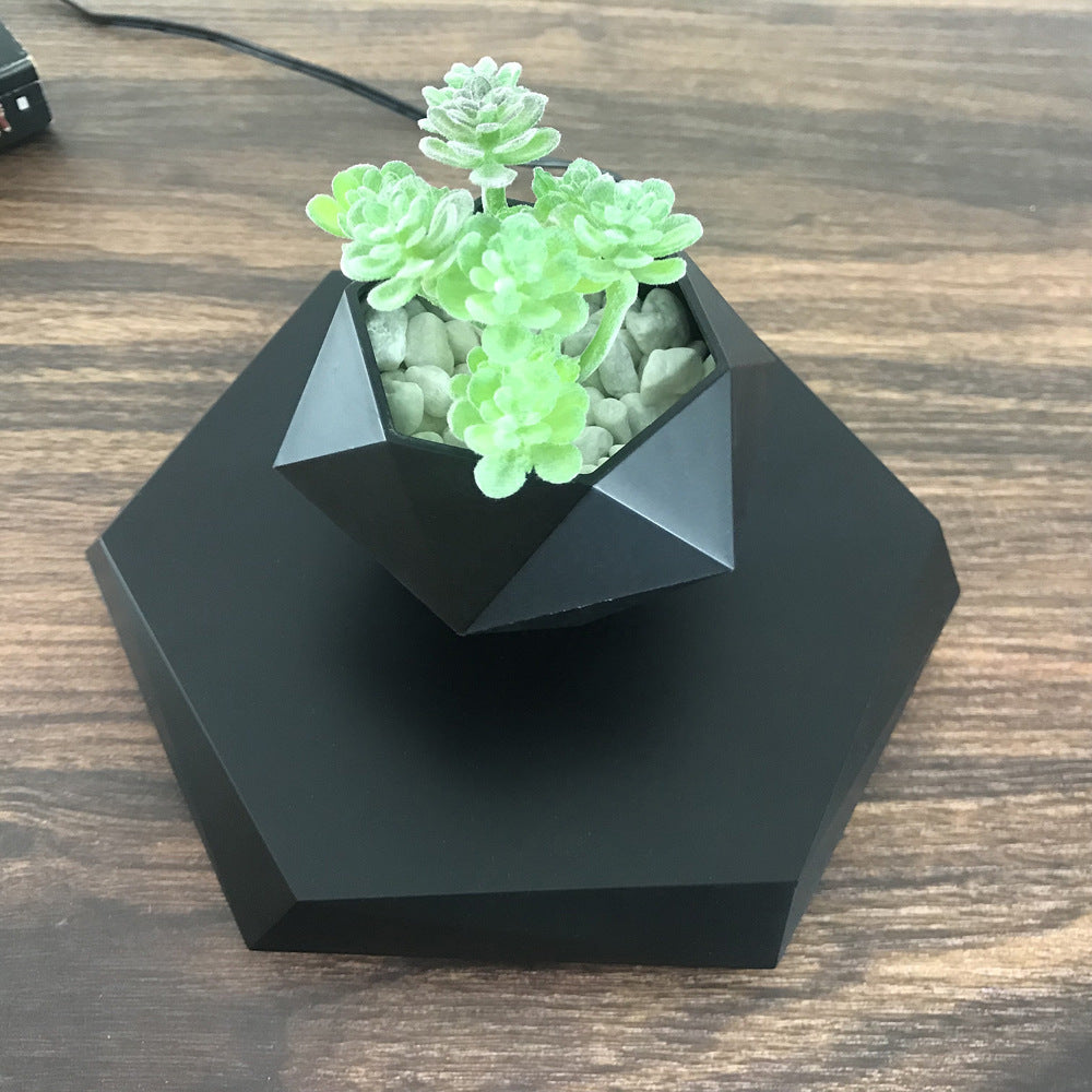 Levitating flower pot - wood grain base detail