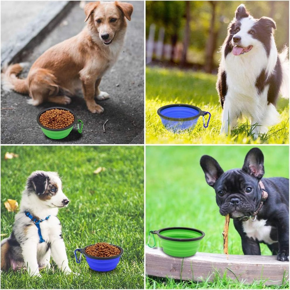 Collapsible pet bowls expanded