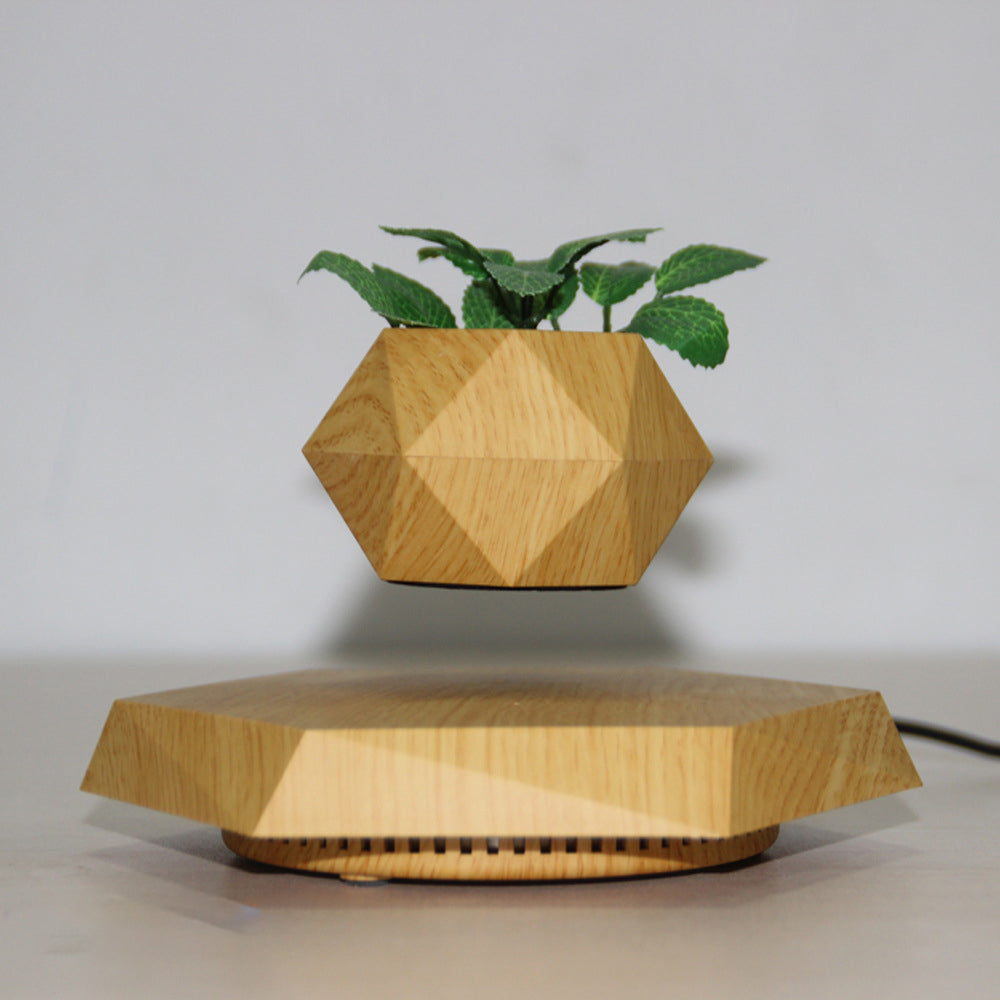 Levitating flower pot with bonsai plant