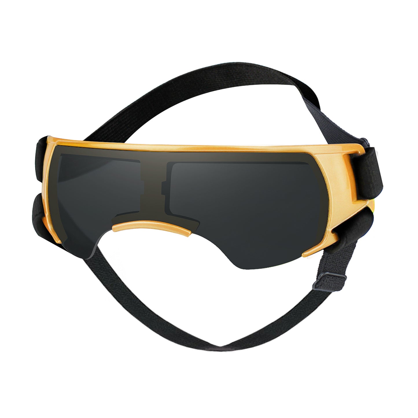 Dog goggles worn by dog, close-up