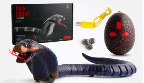 Remote control snake toy - full package contents