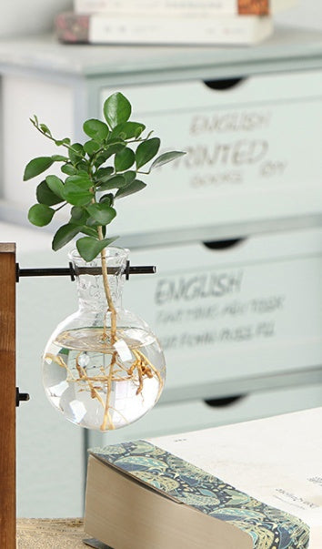 Wooden-base glass bottle plant vase - photo 5 of 11