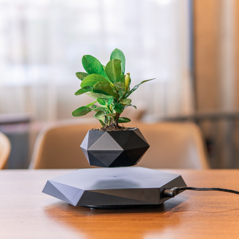 Levitating flower pot in home decor setting