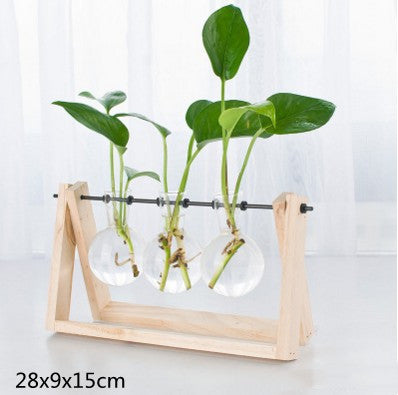 Wooden-base glass bottle plant vase - photo 7 of 11