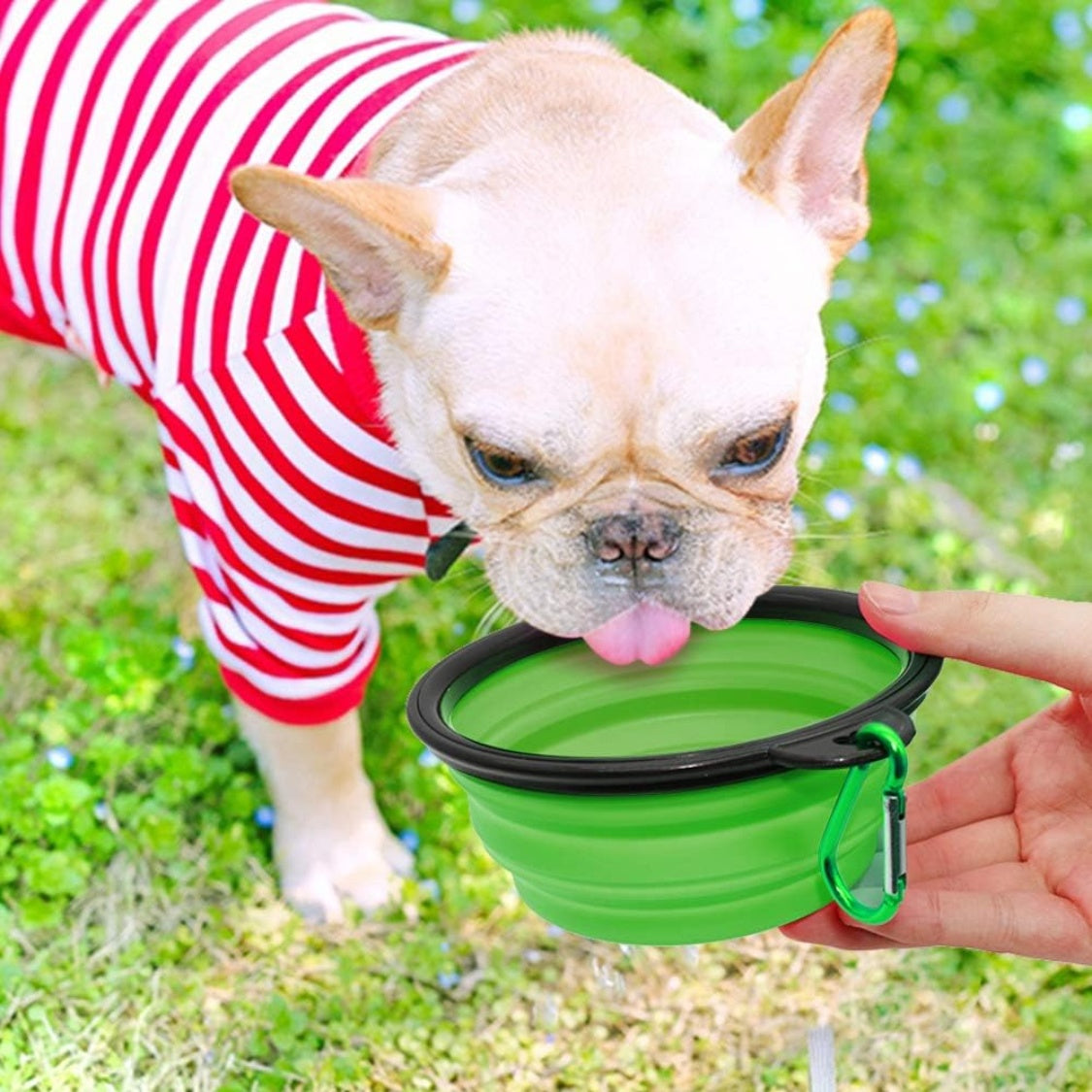 Collapsible pet bowls size dimensions
