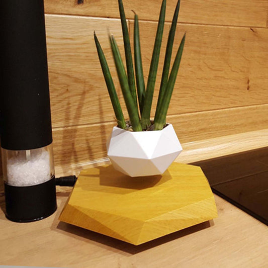 Levitating flower pot on office desk