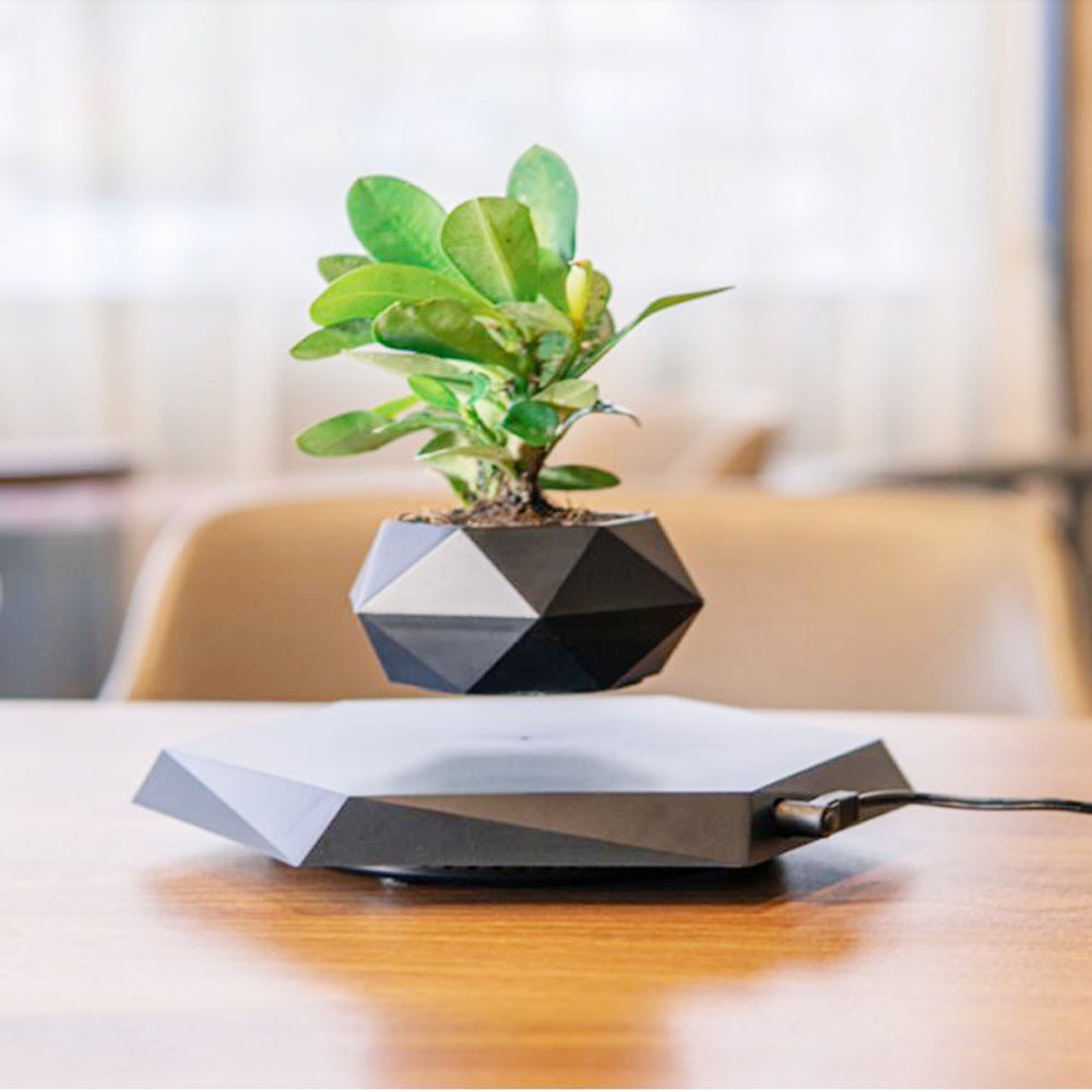 Levitating flower pot - marble finish