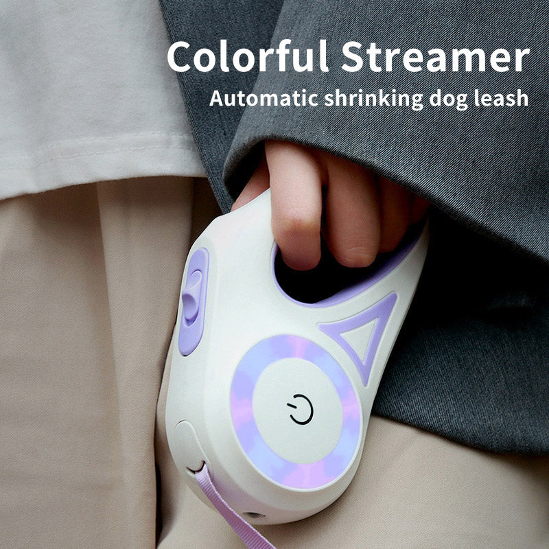 Dog leash in use with dog walking