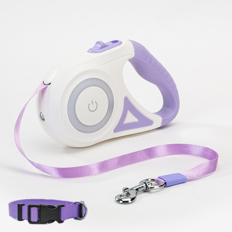 Dog leash full color and size lineup