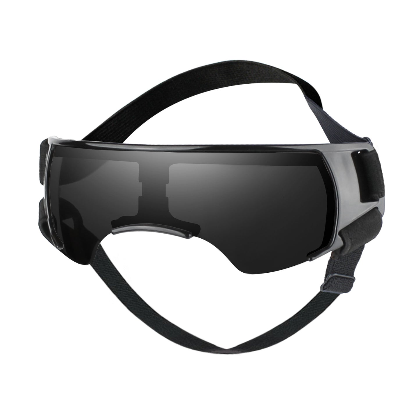 Dog goggles, front view