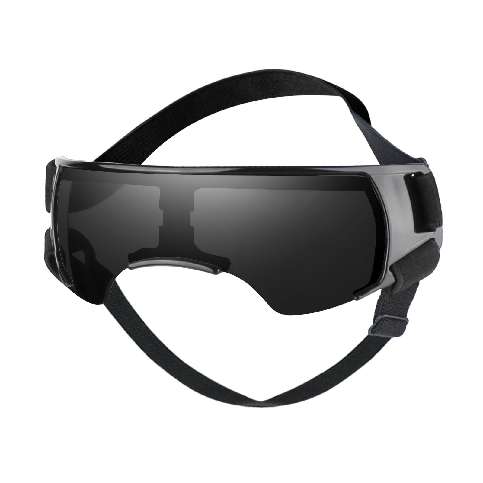 Dog goggles, front view