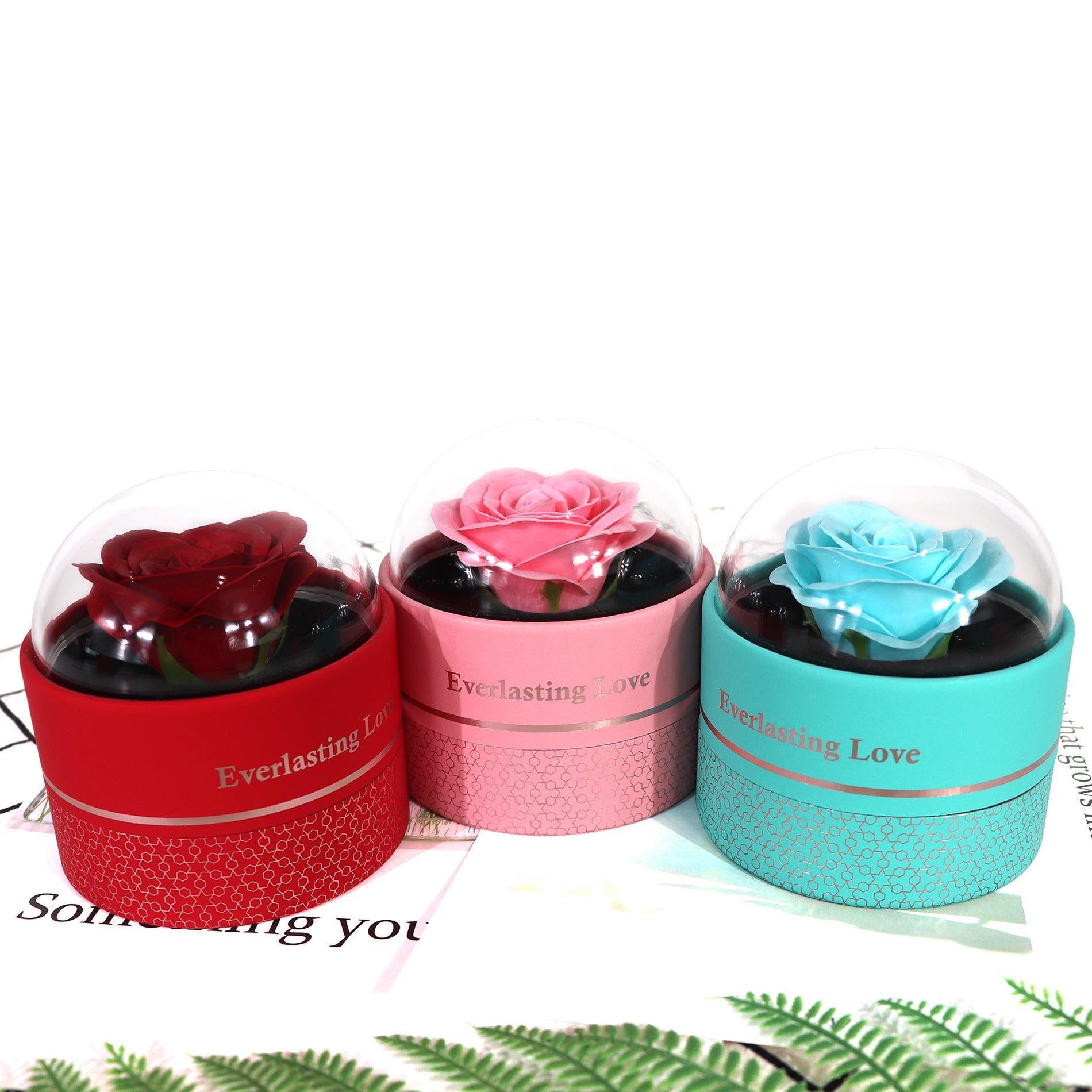 Round cardboard gift box open view