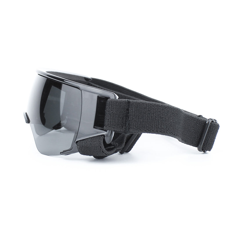 Dog goggles worn by dog, side view