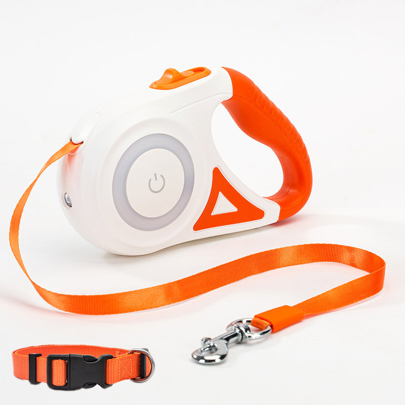 Dog leash night walk with LED light
